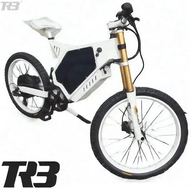 1∥Cheap Price Standard Enduro Ebike Frame /stealth Bomber Electric Bike Frame Ebike Kit  5000w 8000w 12000w 15000w TRB Battery